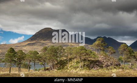 Pins calédoniens au-dessus avec le Loch Torridon Beinn Aligin au-delà, Ben Damh Estate, Wester Ross, Scotland, UK Banque D'Images