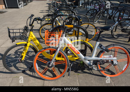 L'OFO adossé à Alibaba régime de location de vélos est quitter Londres parmi les préoccupations de son avenir Banque D'Images