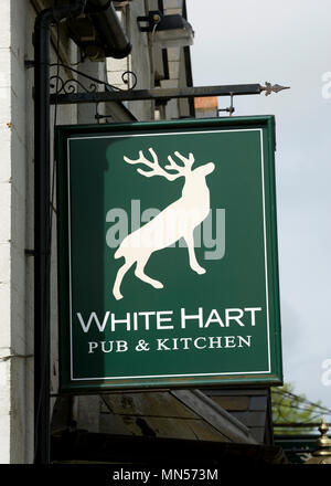 White Hart enseigne de pub, Flore, Northamptonshire, England, UK Banque D'Images