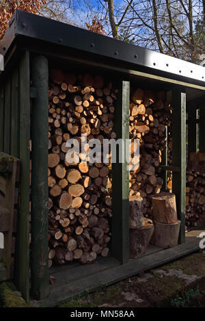 Détail d'une branche de bois de magasin. Aldington, Lanarkshire, Écosse, Royaume-Uni, Europe. Banque D'Images