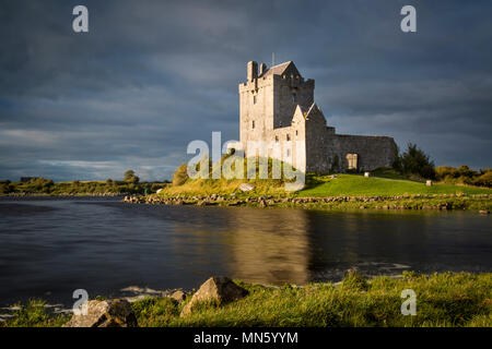 Dunguaire Castle (b. 16e siècle) près de Kinvara, comté de Galway, en République d'Irlande Banque D'Images