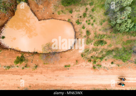 Photo aérienne d'une sale barrage sur une ferme dans le Queensland. Banque D'Images