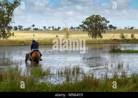 Un homme sur son cheval dans une ferme ou d'un barrage du lac. Banque D'Images