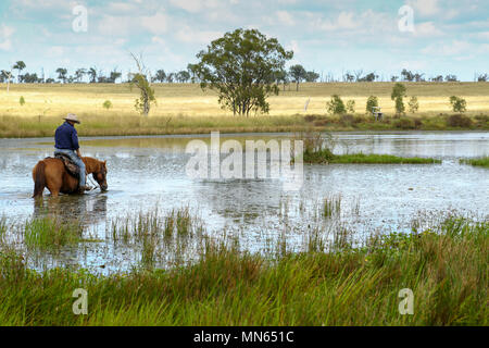 Un homme sur son cheval dans une ferme ou d'un barrage du lac. Banque D'Images