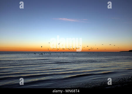 Lever du soleil sur la côte est de l'Argentine, à Puerto Madryn, Province de Chubut, en Argentine, en Patagonie. Banque D'Images