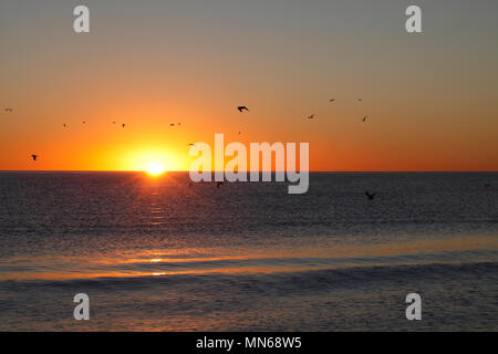 Lever du soleil sur la côte est de l'Argentine, à Puerto Madryn, Province de Chubut, en Argentine, en Patagonie. Banque D'Images