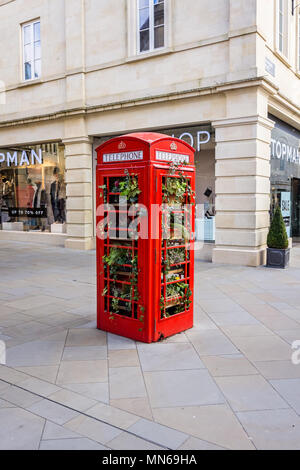 Cabine téléphonique rouge rempli de fleurs au centre commercial Southgate Street prises à Bath, Somerset, Royaume-Uni le 18 janvier 2018 Banque D'Images