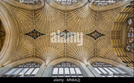 Plafond orné de l'abbaye de Bath prises à Bath, Somerset, Royaume-Uni le 15 août 2013 Banque D'Images