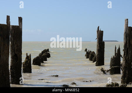 Dans l’eau Banque D'Images