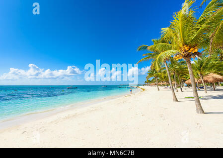 Akumal Beach - paradise bay beach à Quintana Roo, Mexique - côte des Caraïbes Banque D'Images