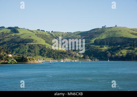 Dunedin, Otago, New Zealand-December : 11,2016 voiliers ancrés dans la baie côtière avec paysage luxuriant à Dunedin, Nouvelle-Zélande Banque D'Images