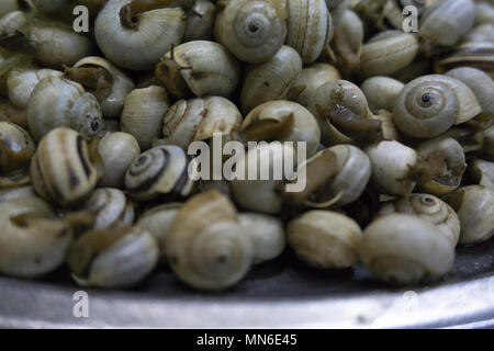 Plat d'escargots à l'ail bouilli plat typiquement portugais Banque D'Images