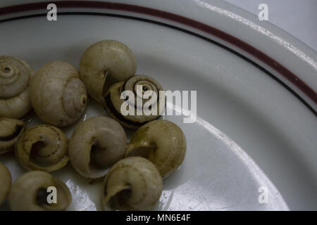 Plat d'escargots à l'ail bouilli plat typiquement portugais Banque D'Images