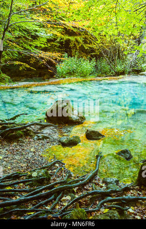 Beechwood et Urederra rivière. Banque D'Images