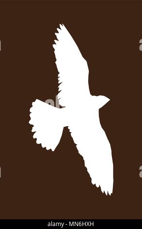 Oiseau avec large les ailes sur fond brun Illustration de Vecteur