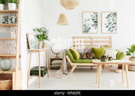 Chat sur un canapé en bois vert avec des oreillers sous de simples affiches accroché au mur dans le salon intérieur Banque D'Images