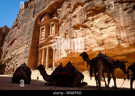 Camel attente devant le Conseil du Trésor (Al-Khazneh) à Petra Site du patrimoine mondial de l'transport à Banque D'Images