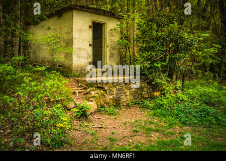 Bâtiment abandonné dans les bois Banque D'Images