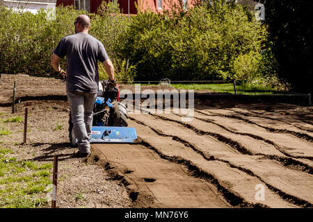 Québec, Canada 12 mai 2018 : BCS 853 13 HP motoculteur est un tracteur populaire la préparation du sol sur un jardin extérieur Banque D'Images