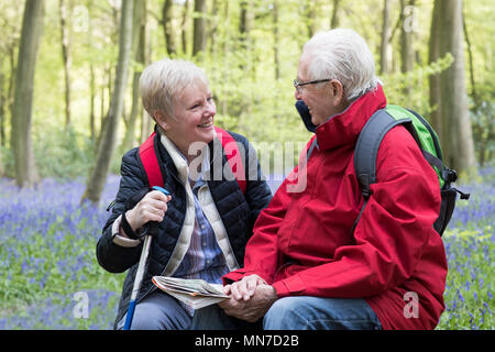 Senior Couple resting on marche à travers bois Bluebell Banque D'Images