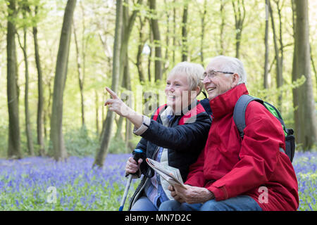 Senior Couple resting on marche à travers bois Bluebell Banque D'Images