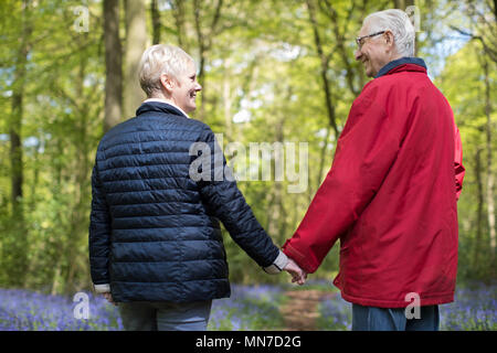 Vue arrière du Couple marche main dans la main à travers bois Bluebell Banque D'Images