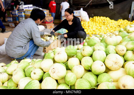 Shijiazhuan Shijiazhuan, Chine. 14 mai, 2018. Shijiazhuang, Chine 14ème Mai 2018 : les paysans sont occupés avec emballage melons à Shijiazhuang, Chine du Nord, Province de Hebei. Crédit : SIPA Asie/ZUMA/Alamy Fil Live News Banque D'Images