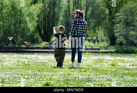 Beau Soleil bat vers le bas sur Bolton comme la dernière période de beau temps frappe le nord-ouest de l'Angleterre. Les températures sont réglées à l'automne demain mais augmentent de nouveau en avance sur le Mariage Royal de semaine. Bénéficiant d'un cadre encore la daisy's at Moses Gate Country Park. Photo par Paul Heyes, mardi 15 mai, 2018. Crédit : Paul Heyes/Alamy Live News Banque D'Images