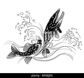 Le brochet poisson dans l'eau. Dessin noir et blanc Encre Banque D'Images