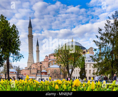 Tulip Festival traditionnel à la place Sultanahmet Park avec vue sur Hagia Sophia, un chrétien orthodoxe grec basilique patriarcale (église) sur l'arrière-plan Banque D'Images