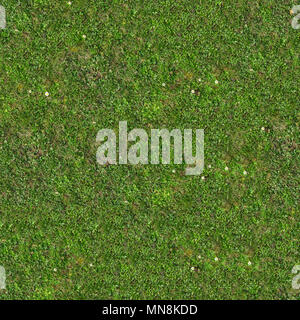 L'herbe verte. Seamless Texture Mosaïque. Banque D'Images