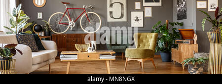 Vélo rouge et blanc placé sur une armoire en bois en gris salon intérieur avec des plantes fraîches et des affiches Banque D'Images