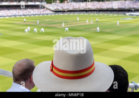 Membre du CMC à Lord's Cricket regarder Banque D'Images