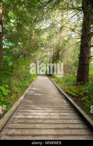 Sentier de randonnée le long de la promenade de Lewis et Clark, à Fort Clatsop Banque D'Images