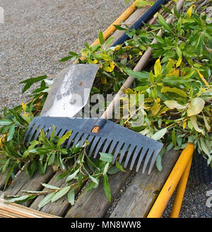 Outils de jardinage bêche et râteau à feuilles âgées dans une brouette de la Suède en octobre. Banque D'Images