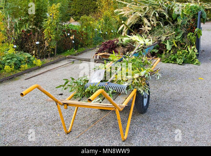 Outils de jardinage bêche et râteau à feuilles âgées dans une brouette de la Suède en octobre. Banque D'Images