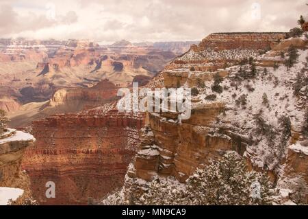 Le parc national du grand canyon sous la neige Banque D'Images