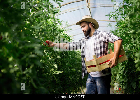 Friendly farmer à l'œuvre dans les émissions de Banque D'Images