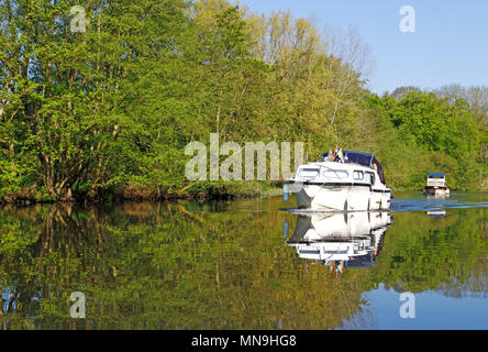 Croisière sur la rivière Bure sur les Norfolk Broads en amont de Wroxham, Norfolk, Angleterre, Royaume-Uni, Europe. Banque D'Images