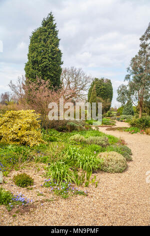 Jardin paysager et des chemins : Le gravier sec pour le jardin des plantes résistantes à la sécheresse dans l'Beth Chatto gardens à Colchester, Essex Banque D'Images