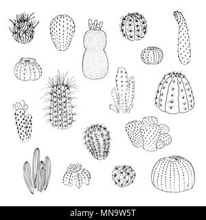 Ensemble de cactus, hand drawn vector illustration. contours dessin . Succulentes collection. la nature des éléments. Illustration de Vecteur