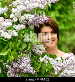 Alilac in garden Banque D'Images