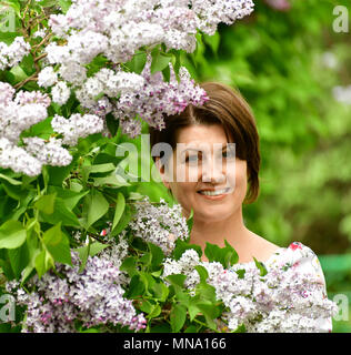 Alilac in garden Banque D'Images