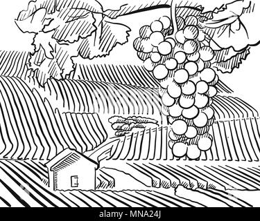 Vineyard Hills avec raisins suspendus en premier plan, scénario dessiné Contours Artwork Illustration de Vecteur