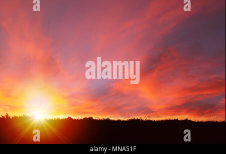 Low angle view of golden sunset sur champ extérieur ossature avec star burst et lens flare pour utiliser comme arrière-plan. Paysage du sud de l'Alberta. Banque D'Images