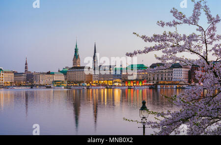 Belle vue panoramique sur la rivière Alster et hôtel de ville de Hambourg - Rathaus à gagner pendant la soirée de printemps heures d'or. Fleur de cerisier arbre en premier plan Banque D'Images