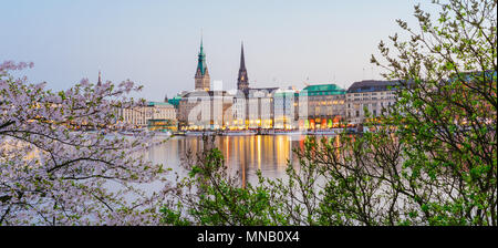 Belle vue panoramique sur la rivière Alster et hôtel de ville de Hambourg - Rathaus à gagner pendant la soirée de printemps heures d'or. Fleur de cerisier arbre en premier plan Banque D'Images