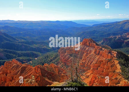 Cedar Breaks National Monument, USA Banque D'Images