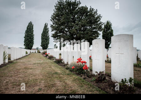 Tombes du cimetière de guerre du Commonwealth de Tyne Cot, près de Passendale, Belgique. Banque D'Images