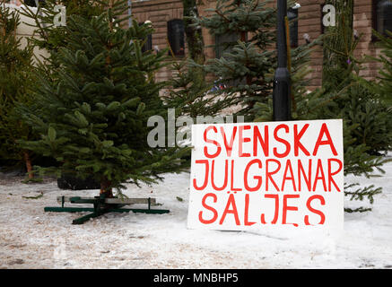 Un signe écrit en suédois suédois annonce que les arbres de Noël sont en vente. Banque D'Images